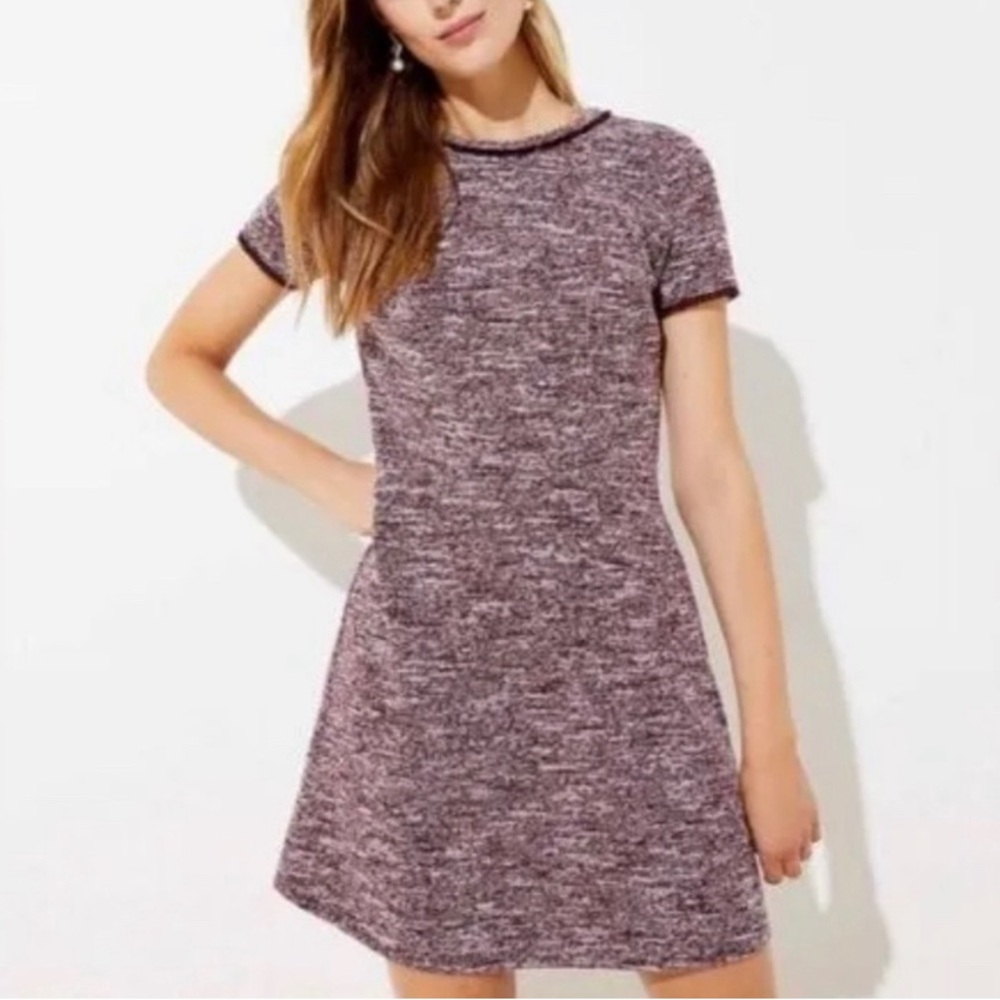 NWT maroon and white loft dress